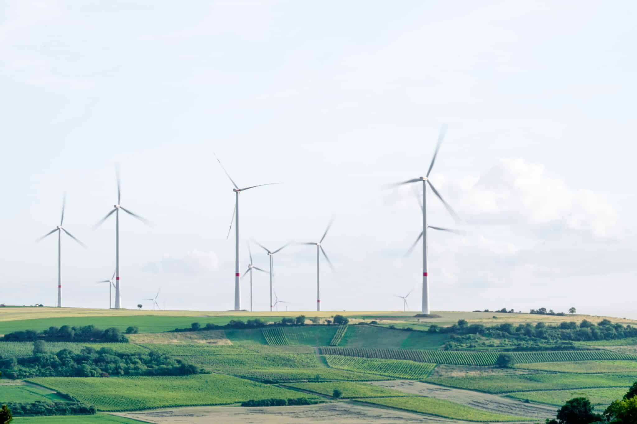 L’essor des green bonds : opportunités et risques pour les entreprises